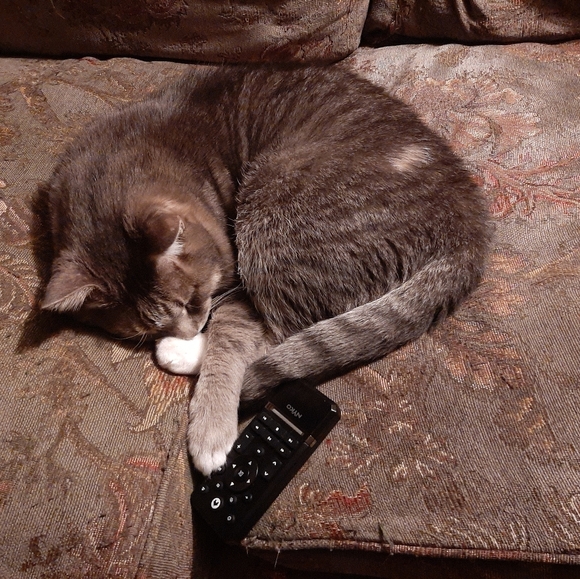 Meet your Posher - Picture 3 of 9